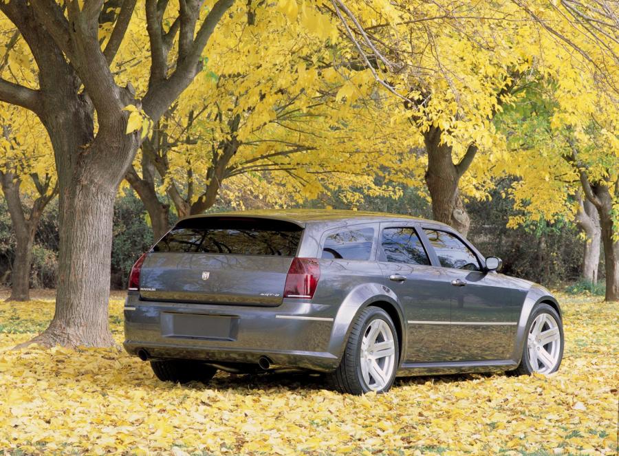  Dodge Magnum SRT8 Concept 2003 года  (фото 17 из 22)